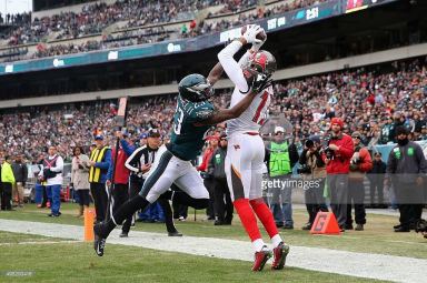 at Lincoln Financial Field on November 22, 2015 in Philadelphia, Pennsylvania.