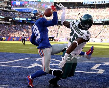 at MetLife Stadium on January 3, 2016 in East Rutherford, New Jersey.