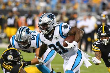 NFL: AUG 29 Preseason – Steelers at Panthers