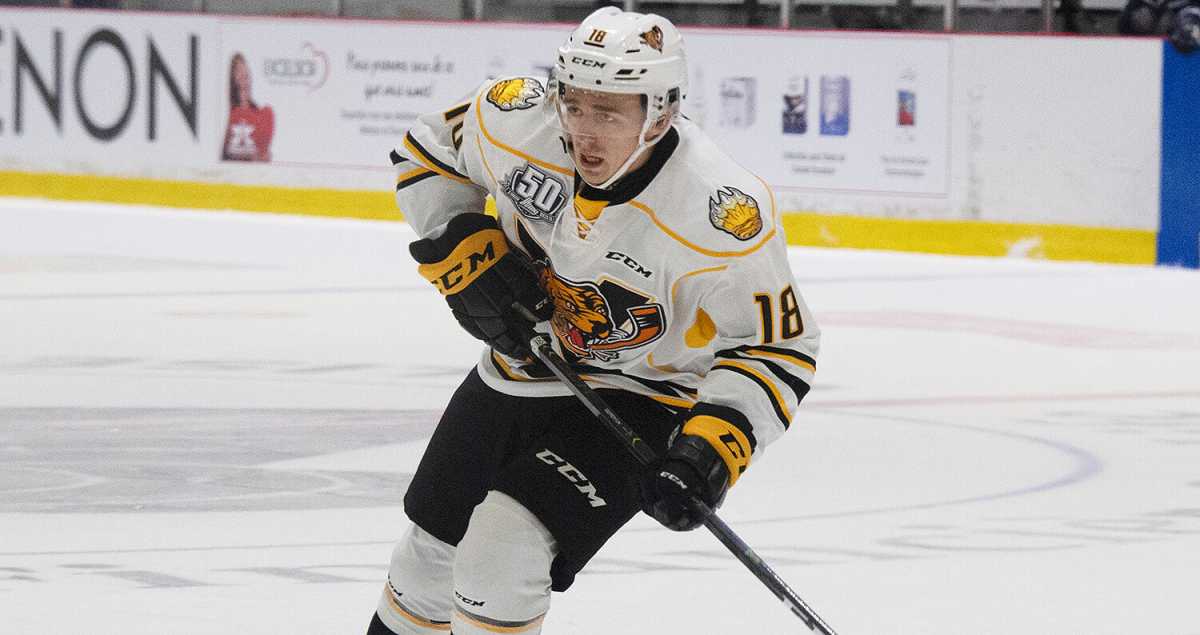denis_morin_tigres_de_victoriaville_egor_serdyuk