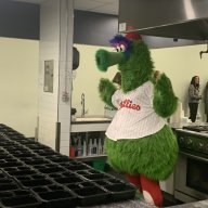 Phillies Phanatic Philadelphia