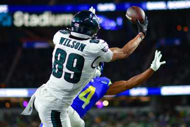 eagles