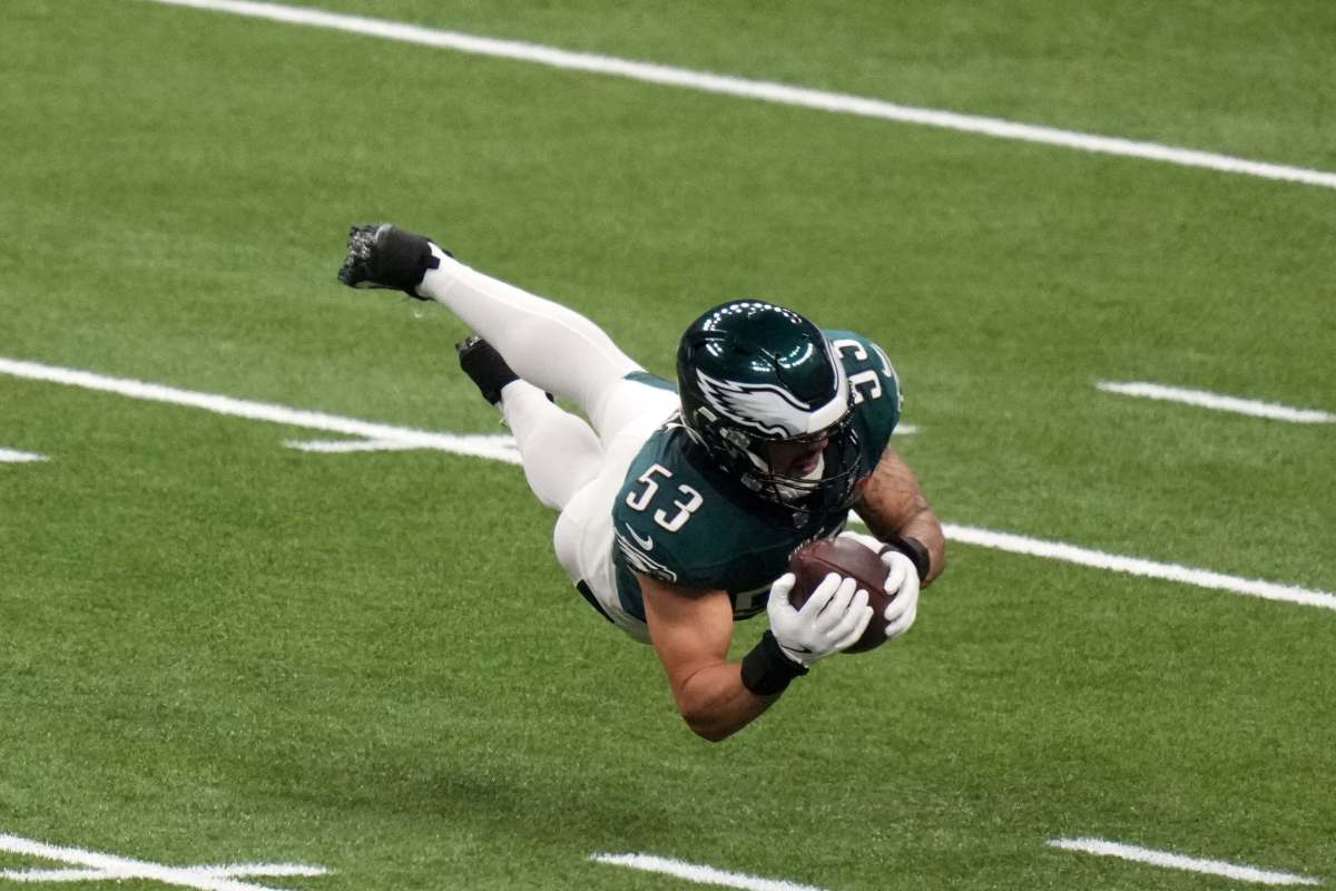 eagles