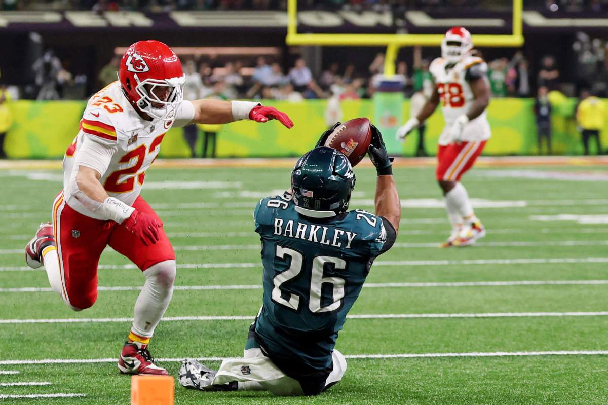 eagles